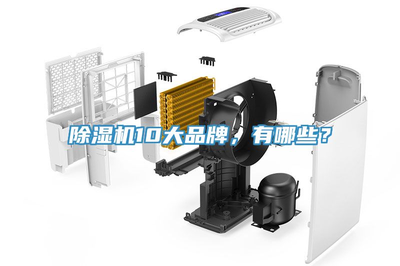 91看片软件大全10大品牌，有哪些？