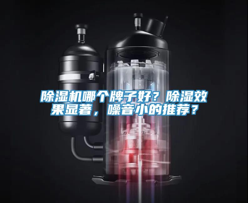 91看片软件大全哪個牌子好？除濕效果顯著，噪音小的推薦？