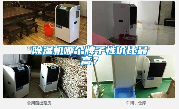91看片软件大全哪個牌子性價比最高？