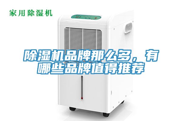 91看片软件大全品牌那麽多，有哪些品牌值得推薦