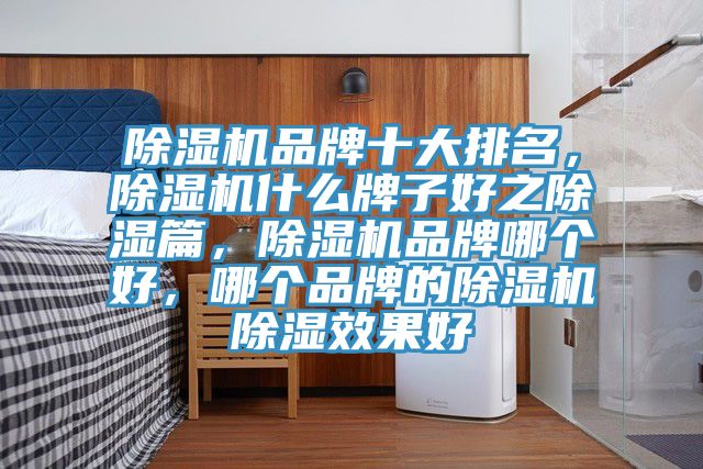 91看片软件大全品牌十大排名，91看片软件大全什麽牌子好之除濕篇，91看片软件大全品牌哪個好，哪個品牌的91看片软件大全除濕效果好