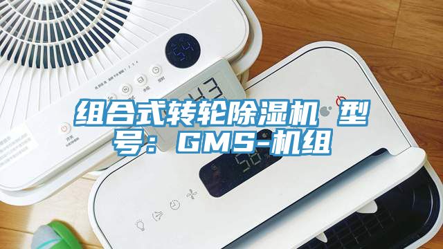 組合式轉輪91看片软件大全 型號：GMS-機組