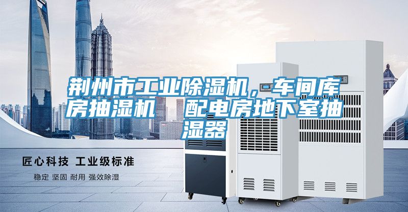荊州市工業91看片软件大全，車間庫房抽濕機  配電房地下室抽濕器