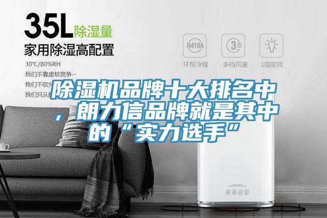 91看片软件大全品牌十大排名中，朗力信品牌就是其中的“實力選手”