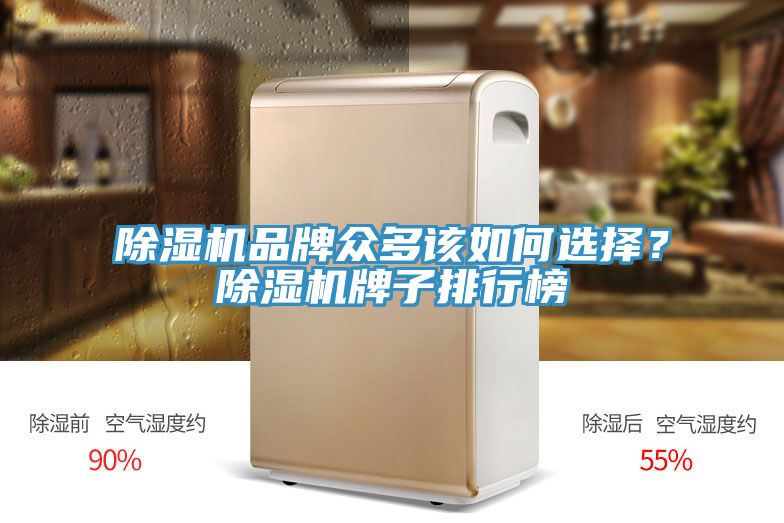 91看片软件大全品牌眾多該如何選擇？91看片软件大全牌子排行榜