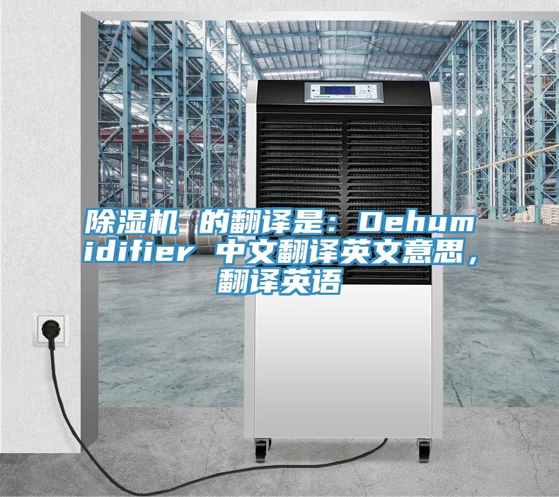91看片软件大全 的翻譯是：Dehumidifier 中文翻譯英文意思，翻譯英語