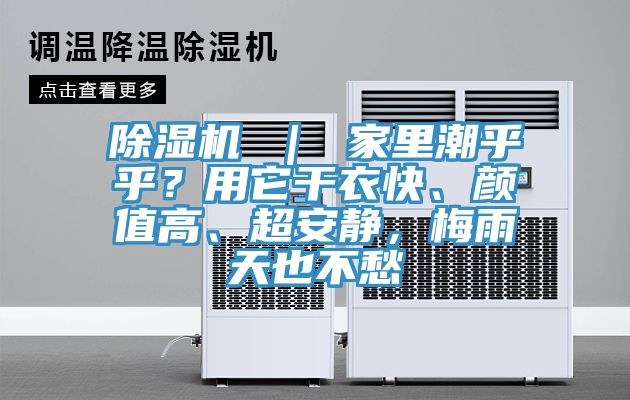 91看片软件大全 ｜ 家裏潮乎乎？用它幹衣快、顏值高、超安靜，梅雨天也不愁