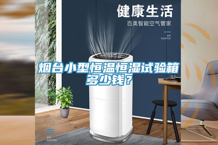 煙台小型恒溫恒濕試驗箱多少錢？