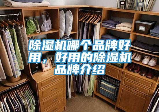 91看片软件大全哪個品牌好用，好用的91看片软件大全品牌介紹