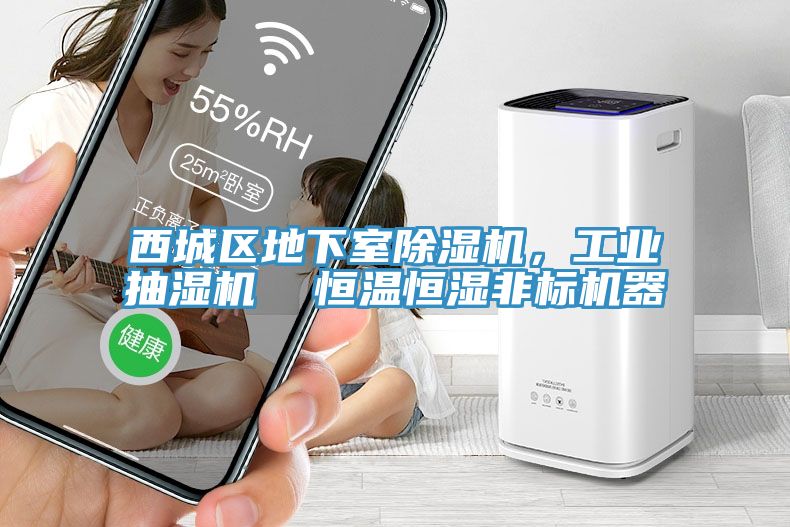 西城區地下室91看片软件大全，工業抽濕機  恒溫恒濕非標機器