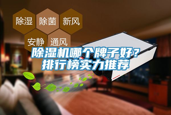 91看片软件大全哪個牌子好？排行榜實力推薦