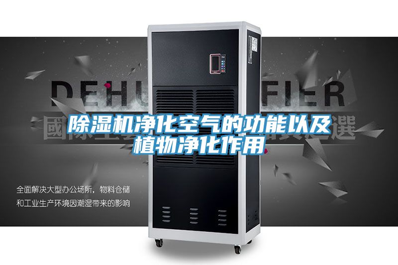 91看片软件大全淨化空氣的功能以及植物淨化作用