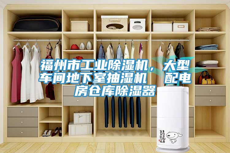 福州市工業91看片软件大全，大型車間地下室抽濕機  配電房倉庫除濕器