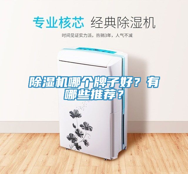 91看片软件大全哪個牌子好？有哪些推薦？