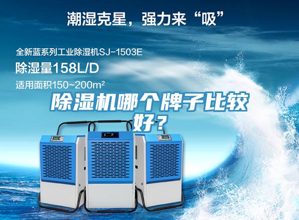 91看片软件大全哪個牌子比較好？