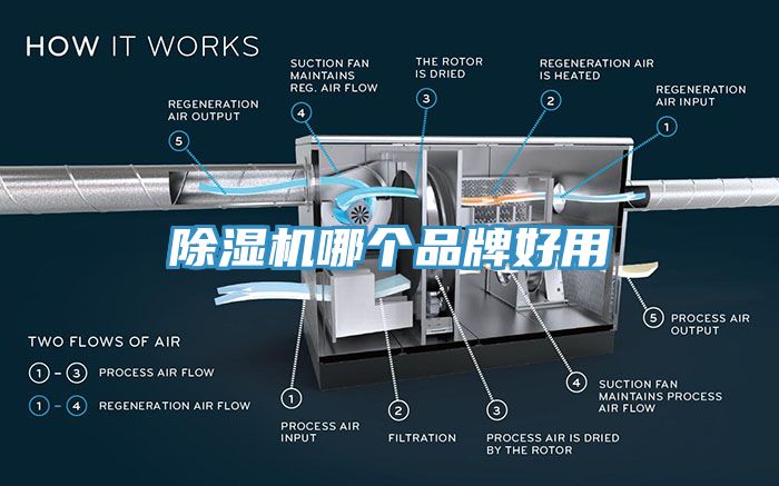 91看片软件大全哪個品牌好用