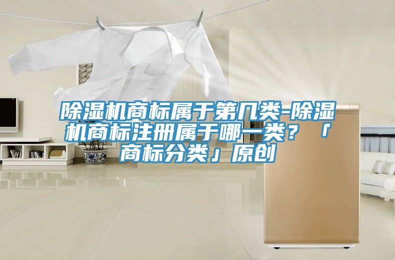 91看片软件大全商標屬於第幾類-91看片软件大全商標注冊屬於哪一類？「商標分類」原創
