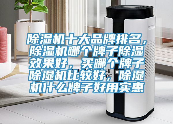 91看片软件大全十大品牌排名，91看片软件大全哪個牌子除濕效果好，買哪個牌子91看片软件大全比較好，91看片软件大全什麽牌子好用實惠