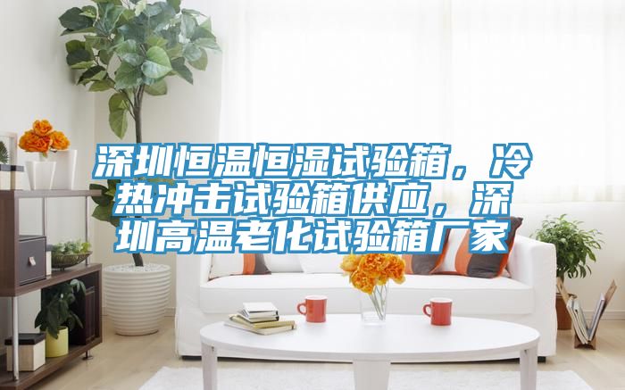 深圳恒溫恒濕試驗箱，冷熱衝擊試驗箱供應，深圳高溫老化試驗箱廠家