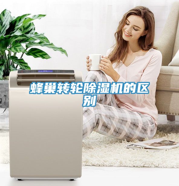 蜂巢轉輪91看片软件大全的區別