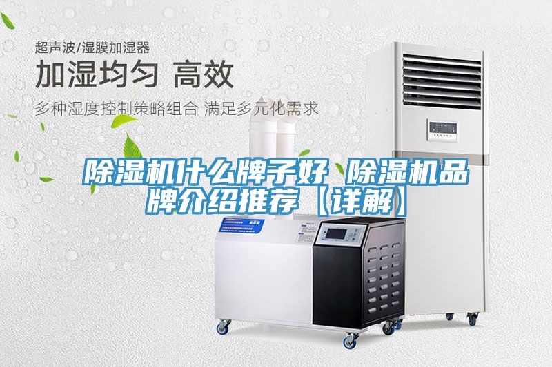 91看片软件大全什麽牌子好 91看片软件大全品牌介紹推薦【詳解】