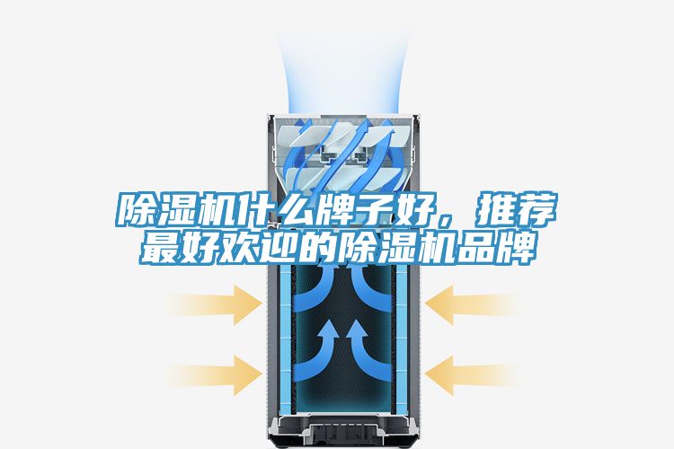 91看片软件大全什麽牌子好，推薦最好歡迎的91看片软件大全品牌