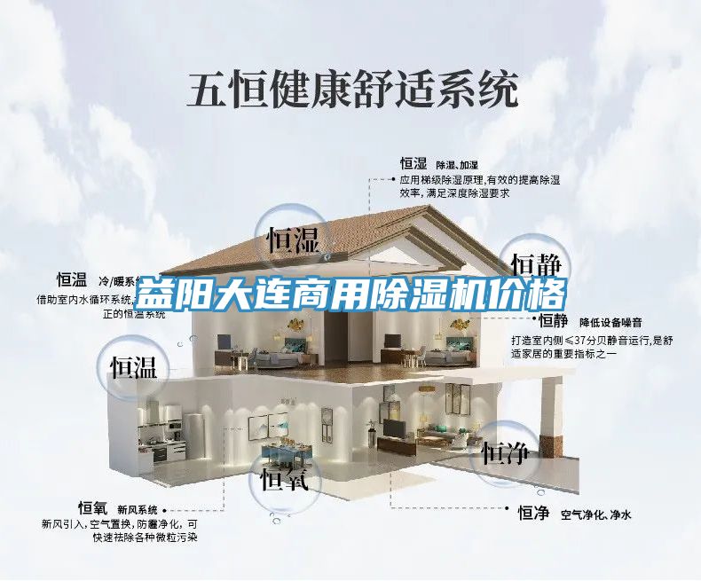 益陽大連商用91看片软件大全價格