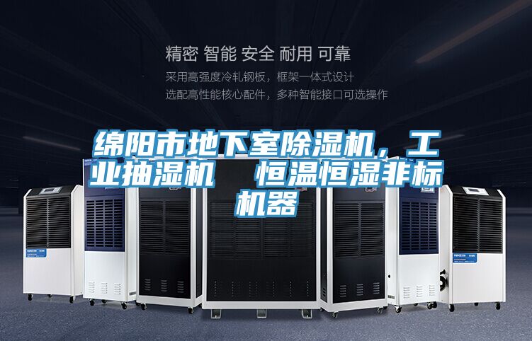 綿陽市地下室91看片软件大全，工業抽濕機  恒溫恒濕非標機器