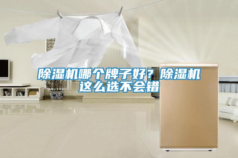 91看片软件大全哪個牌子好？91看片软件大全這麽選不會錯
