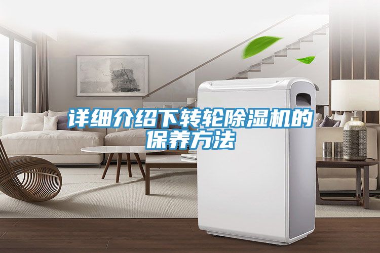 詳細介紹下轉輪91看片软件大全的保養方法