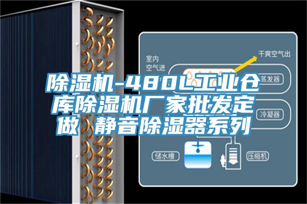 91看片软件大全-480L工業倉庫91看片软件大全廠家批發定做 靜音除濕器係列