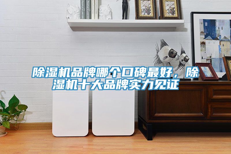 91看片软件大全品牌哪個口碑最好，91看片软件大全十大品牌實力見證