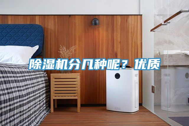 91看片软件大全分幾種呢？優質