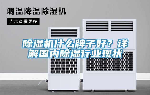 91看片软件大全什麽牌子好？詳解國內除濕行業現狀