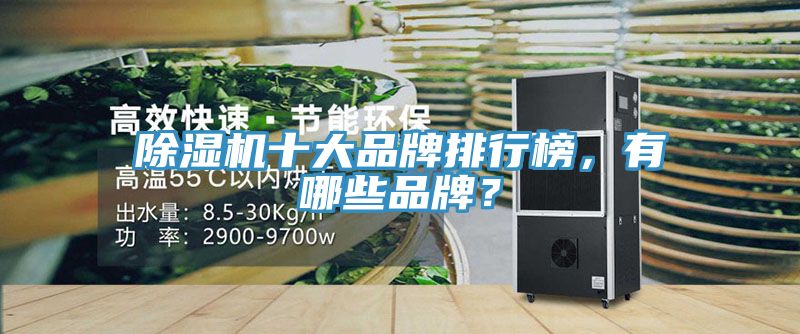 91看片软件大全十大品牌排行榜，有哪些品牌？