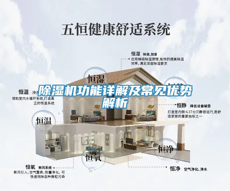 91看片软件大全功能詳解及常見優勢解析