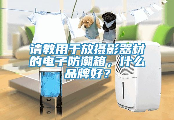 請教用於放攝影器材的電子防潮箱，什麽品牌好？