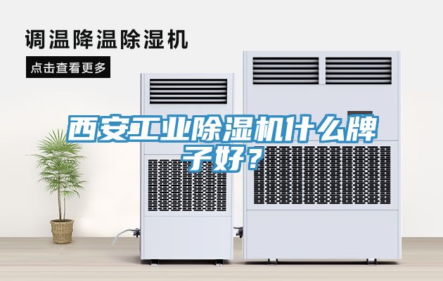 西安工業91看片软件大全什麽牌子好？