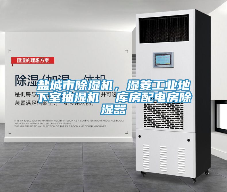 鹽城市91看片软件大全，濕菱工業地下室抽濕機  庫房配電房除濕器