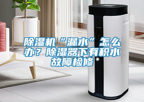 91看片软件大全“漏水”怎麽辦？除濕器下有積水故障檢修
