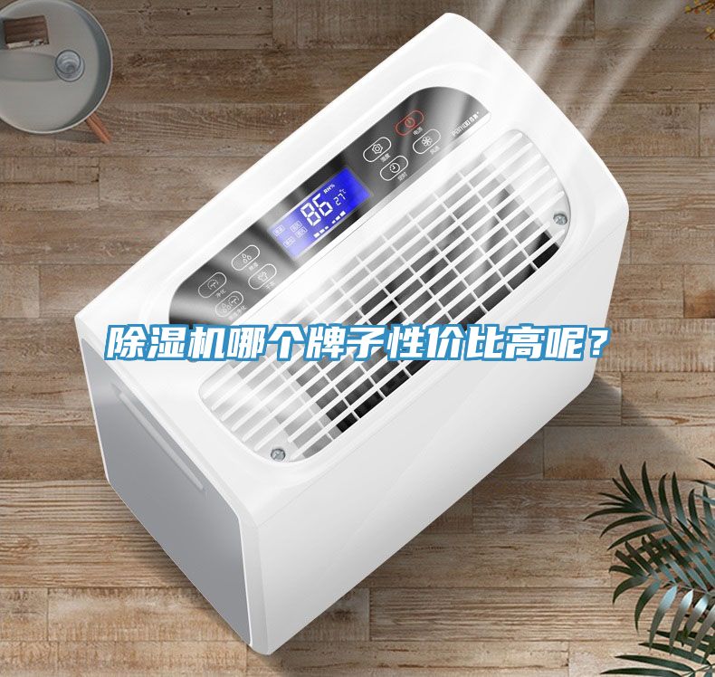 91看片软件大全哪個牌子性價比高呢？