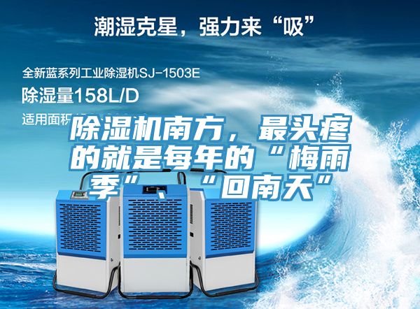 91看片软件大全南方，最頭疼的就是每年的“梅雨季”、“回南天”