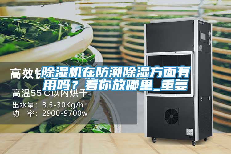 91看片软件大全在防潮除濕方麵有用嗎？看你放哪裏_重複