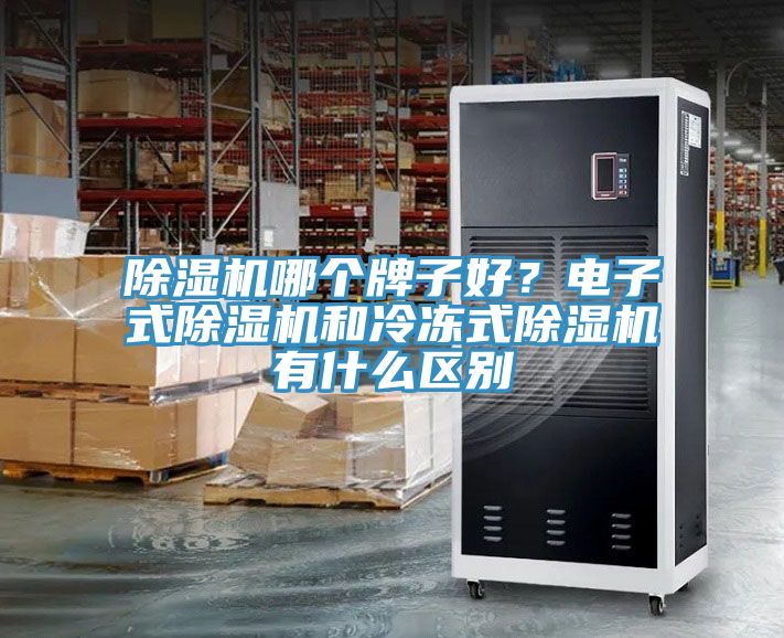 91看片软件大全哪個牌子好？電子式91看片软件大全和冷凍式91看片软件大全有什麽區別