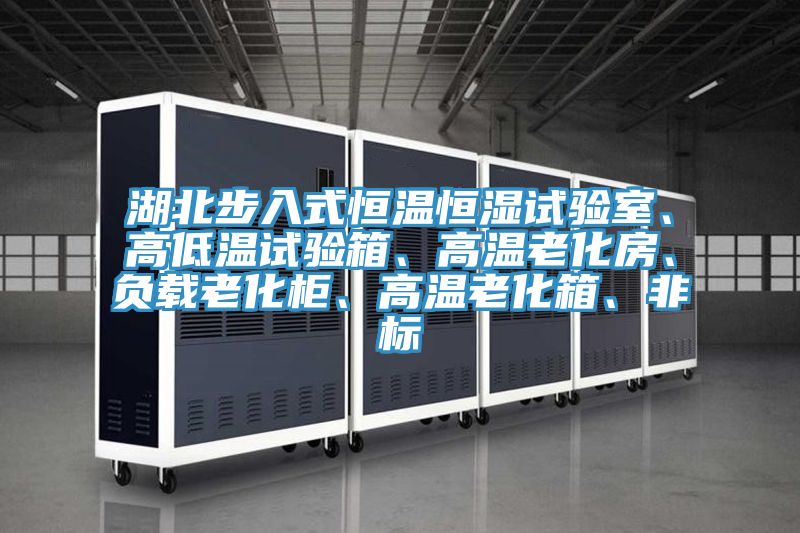 湖北步入式恒溫恒濕試驗室、高低溫試驗箱、高溫老化房、負載老化櫃、高溫老化箱、非標