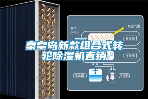 秦皇島新款組合式轉輪91看片软件大全直銷