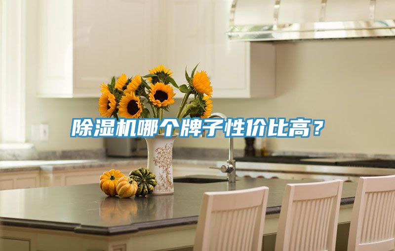 91看片软件大全哪個牌子性價比高？