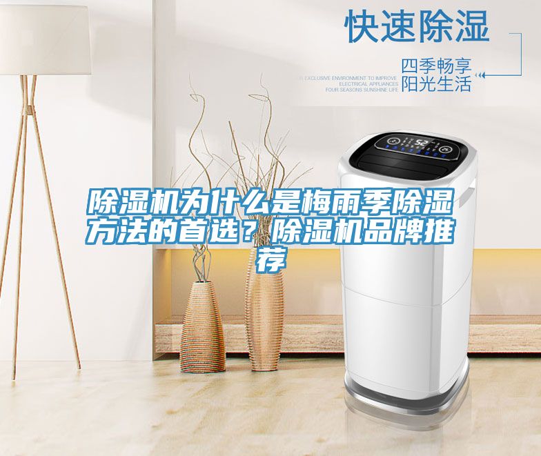91看片软件大全為什麽是梅雨季除濕方法的首選？91看片软件大全品牌推薦