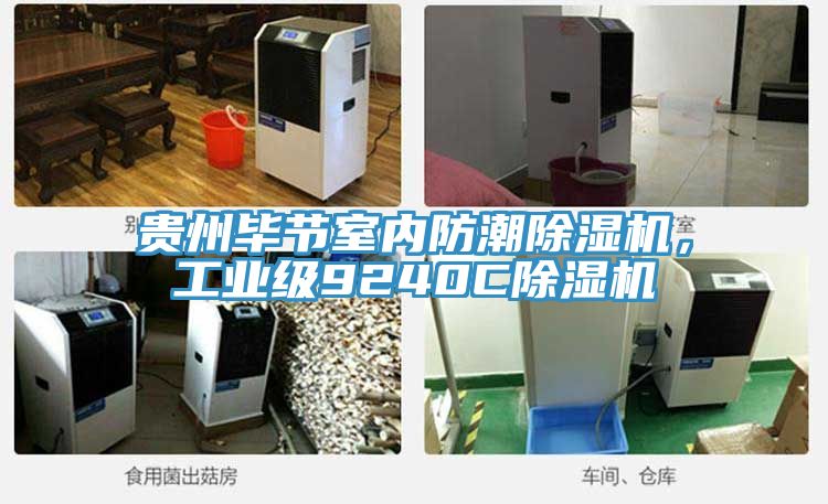 貴州畢節室內防潮91看片软件大全，工業級9240C91看片软件大全