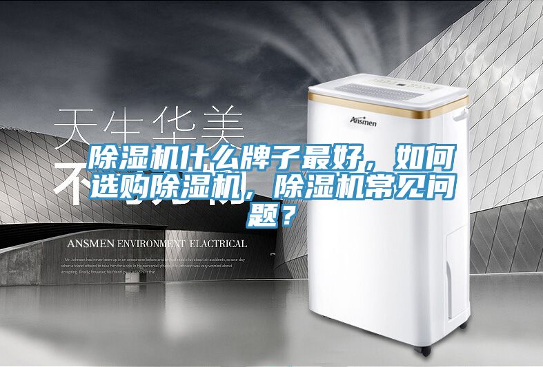 91看片软件大全什麽牌子最好，如何選購91看片软件大全，91看片软件大全常見問題？